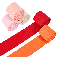 10M 5 Colors Polyester Flat Elastic Rubber Band, Webbing Garment Sewing Accessories, Mixed Color, 50mm, 2m/color(EC-BC0001-49A)