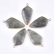 Natural Labradorite Pendants, with Brass Findings, Kite, Golden, 40~42x21x3.5~4.5mm, Hole: 2mm(G-T112-25A)