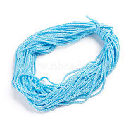 Hollow Nylon Braided Rope, for Camping, Outdoor Adventure, Gardening, Blue, 4mm, 20m/bundle(NWIR-WH0009-19B)