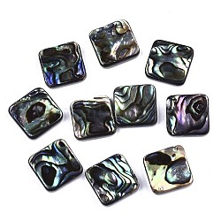 Natural Abalone Shell/Paua Shell Cabochons, with Freshwater Shell, Square, Colorful, 12x12x3mm(SSHEL-N034-75B-01)