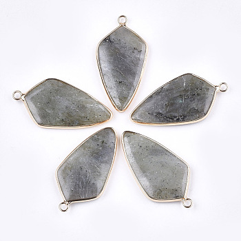 Natural Labradorite Pendants, with Brass Findings, Kite, Golden, 40~42x21x3.5~4.5mm, Hole: 2mm
