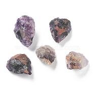 Rough Raw Natural Amethyst Beads, No Hole/Undrilled, Teardrop, 23~30.5x18~22x10~15mm(G-H254-39B)