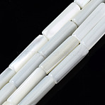 Natural Trochid Shell/Trochus Shell Beads Strands, Column, Bleach, Seashell Color, 13x4mm, Hole: 0.7mm, about 30pcs/strand, 15.94 inch(40.5cm)(X-SSHEL-S266-020A-03)