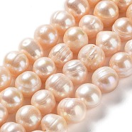 Natural Cultured Freshwater Pearl Beads Strands, Potato, Grade AB, PeachPuff, 10.5~12x9~11mm, Hole: 0.6mm, about 34pcs/strand, 14.17''(36cm)(PEAR-E019-17)