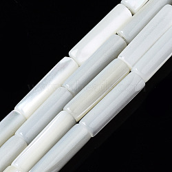 Natural Trochid Shell/Trochus Shell Beads Strands, Column, Bleach, Seashell Color, 13x4mm, Hole: 0.7mm, about 30pcs/strand, 15.94 inch(40.5cm)(X-SSHEL-S266-020A-03)