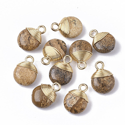 Natural Picture Jasper Pendants, with Golden Tone Brass Wires and Iron Loops, Half Drilled, Flat Round, 14~15x10~11x5~6mm, Hole: 1.5~2mm(G-S359-021D)