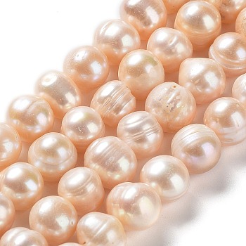 Natural Cultured Freshwater Pearl Beads Strands, Potato, Grade AB, PeachPuff, 10.5~12x9~11mm, Hole: 0.6mm, about 34pcs/strand, 14.17''(36cm)
