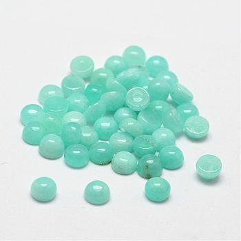 Dome Natural Amazonite Cabochons, 4x2.5mm