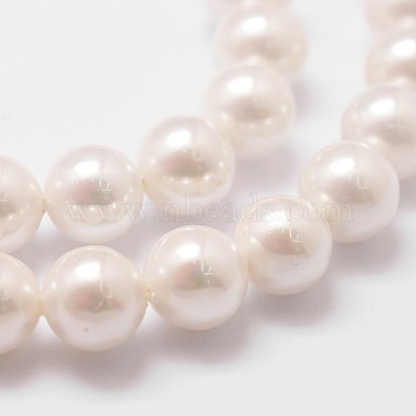 Rainbow Plated Shell Pearl Bead Strands(X-BSHE-L025-02-10mm)-3
