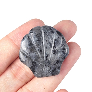 Natural Labradorite Carved Healing Shell Shape Figurines, Reiki Energy Stone Display Decorations, 30x30mm