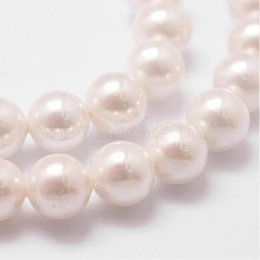 Rainbow Plated Shell Pearl Bead Strands(BSHE-L025-02-6mm)-3
