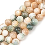 Natural Shell Beads Strands, Smooth Round, Moccasin, 8mm, Hole: 0.9mm, about 50pcs/strand, 14.76''(37.5cm)(SH-CBA4F3D-01)