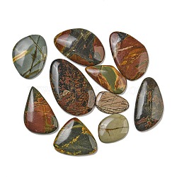 Natural Polychrome Jasper/Picasso Stone/Picasso Jasper Cabochons, Mixed Shapes, 29.5~57x19.5~34.5x3~8.5mm(G-B108-01)