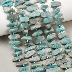 Natural Amazonite Beads Strands, Nuggets, with Seed Beads, 5~8x7~18x3~6mm, Hole: 0.8mm, about 46~58pcs/strand, 15.55''~15.75''(39.5~40cm)(X-G-P619-A04-01)
