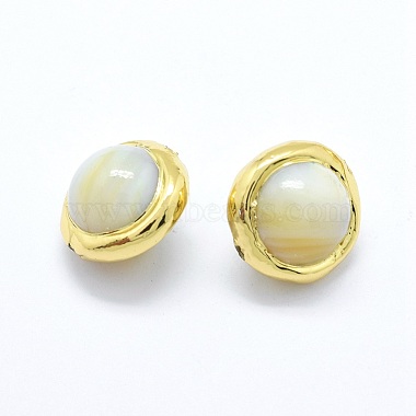 Shell Pearl Beads(PEAR-P057-02G)-2