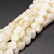 Natural Trochid Shell/Trochus Shell Beads Strands, Heart, Creamy White, 10x10x4mm, Hole: 1mm, about 42pcs/strand, 15.75 inch(SSHEL-K012-05)