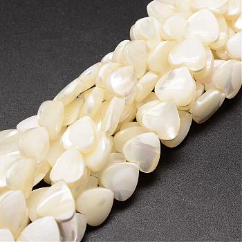 Natural Trochid Shell/Trochus Shell Beads Strands, Heart, Creamy White, 10x10x4mm, Hole: 1mm, about 42pcs/strand, 15.75 inch