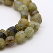 Natural Labradorite Bead Strands, Tumbled Stone, Nuggets, 5~7X5~7mm, Hole: 1mm, about 15.7 inch(G-P070-23)