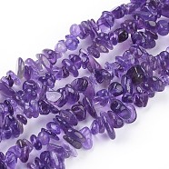Natural Amethyst Beads Strands, Chips, 5~8mm, Hole: 0.6mm, 31~32 inch(F014)
