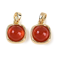 Natural Carnelian(Dyed & Heated) Square Charms, Brass Charms, Real 18K Gold Plated, 12.5x10.5x6mm, Hole: 4.5x3mm(KK-P283-46G)