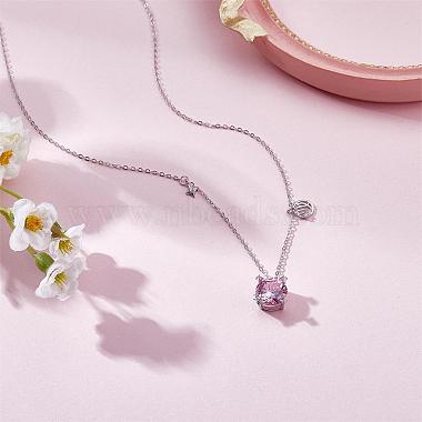 925 Sterling Silver Zircon Pendant Necklace 12 Constellation Pendant Necklace Jewelry Anniversary Birthday Gifts for Women Men(JN1088E)-3
