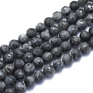 Natural Larvikite Beads Strands, Round, Faceted(128 Facets), 8mm, Hole: 1.2mm, about 49pcs/strand, 15.16 inch(38.5cm)(G-K310-A17-8mm)