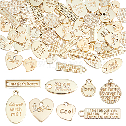 PandaHall Elite 80Pcs 8 Style Eco-Friendly Alloy Pendants, Mixed Shapes, Light Gold, 13~24x13~25x1~2mm, Hole: 1.6~2.5mm, 10pcs/style(FIND-PH0006-06)