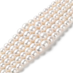 Natural Cultured Freshwater Pearl Beads Strands, Gradient Potato, PapayaWhip, 5~10x4~9mm, Hole: 0.5mm, about 65pcs/strand, 16.14~16.26''(41~41.3cm)(PEAR-E018-68)