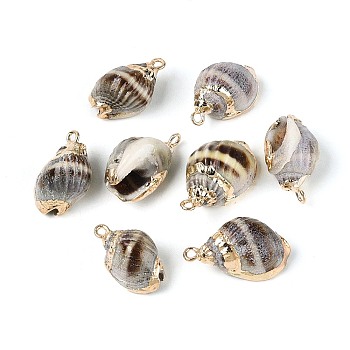 Electroplate Natural Spiral Shell Pendants, Conch Charms with Golden Tone Iron Loops, Light Grey, 18~23x10~13x8.5~11.5mm, Hole: 1.5~1.7mm