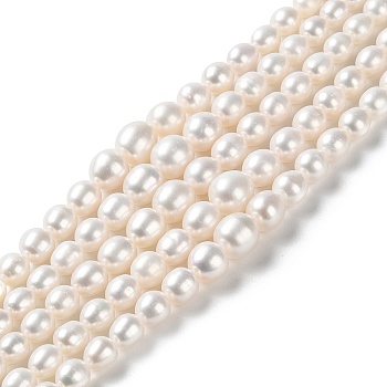 Natural Cultured Freshwater Pearl Beads Strands, Gradient Potato, PapayaWhip, 5~10x4~9mm, Hole: 0.5mm, about 65pcs/strand, 16.14~16.26''(41~41.3cm)