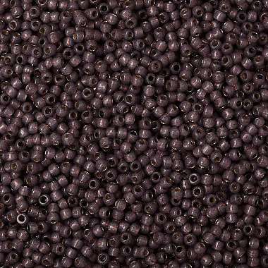 Toho perles de rocaille rondes(X-SEED-TR08-PF2114)-2