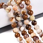 Natural Wood Lace Stone Wooden Jasper Beads Strands, Round, 10~10.5mm, Hole: 1mm, about 39~40pcs/strand, 15.43~15.91''(39.2~40.4cm)(X-G-B128-A04-04)
