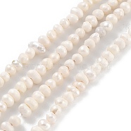 Natural Cultured Freshwater Pearl Beads Strands, Potato, Old Lace, 2~2.5mm, Hole: 0.5mm, about 90pcs/strand, 7.80~7.95 inch(19.8~20.2cm)(PEAR-C003-04A)