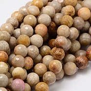 Faceted Round Natural Fossil Coral Bead Strands, 8mm, Hole: 1mm, about 50pcs/strand, 15.3 inch(G-L437-03-8mm)