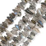 Natural Labradorite Beads Strands, Chip, 5~8mm, Hole: 1mm, about 33 inch(84cm)(G-P332-23)