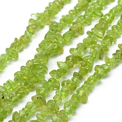 Natural Peridot Beads Strands, Chip, 5~7mm, Hole: 0.8mm, about 16 inch(40.6cm)(G-P332-74)