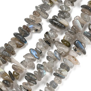 Natural Labradorite Beads Strands, Chip, 5~8mm, Hole: 1mm, about 33 inch(84cm)