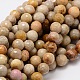Faceted Round Natural Fossil Coral Bead Strands(G-L437-03-8mm)-1