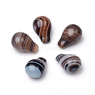 Natural Banded Agate/Striped Agate Beads, Half Drilled, Dyed & Heated, Teardrop, 18.5~19x12.5~13x10.5mm, Hole: 0.8~1mm(G-L514-002C)