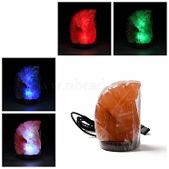 USB Natural Himalayan Rock Salt Lamp, with Multi-Color Changing Bulb(200W), Wood Base, Leaf, 75x73x115mm(DJEW-P002-02A)