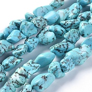Natural Howlite Beads Strands, Dyed, Nuggets, 10~16x7~12mm, Hole: 1mm, about 9.6 inch(24.5cm)(TURQ-G152-B01)
