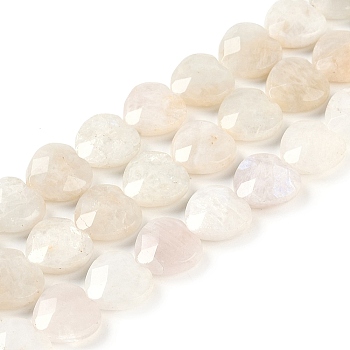 Natural Rainbow Moonstone Beads Strands, Faceted Heart, 12x12x5mm, Hole: 1mm, about 33pcs/strand, 15.24 inch(38.7cm)