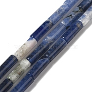 Natural Sodalite Beads Strands, Tube, 12x4mm, Hole: 1.2mm, about 32pcs/strand, 15.55''(39.5cm)(G-P489-02)