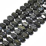 Natural Labradorite Beads Strands, Faceted, Double Terminated Pointed/Bullet, 20~31x12~14x10~13mm, Hole: 1.8mm, about 23~24pcs/strand, 15.55 inch(39.5cm)(G-F715-047)