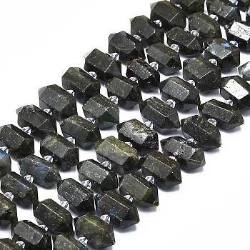 Natural Labradorite Beads Strands, Faceted, Double Terminated Pointed/Bullet, 20~31x12~14x10~13mm, Hole: 1.8mm, about 23~24pcs/strand, 15.55 inch(39.5cm)