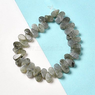Natural Labradorite Beads Strands(G-B064-B62)-2