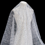 Sequin Polyester Lace Fabric, DIY Clothing Accesories, White, 130x0.05cm(DIY-WH0622-147B)