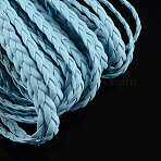 Braided Imitation Leather Cords, Herringbone Bracelet Findings, Light Sky Blue, 5x2mm, about 109.36 yards(100m)/bundle(LC-S002-5mm-10)
