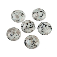 Natural Sesame Jasper Cabochons, Half Round/Dome, 25x5.5mm(G-H1596-FR-25mm-14)