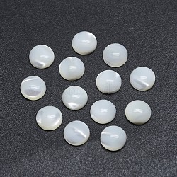 Shell Cabochons, Flat Round, 12x3.5~4mm(SSHEL-P015-61-12mm)
